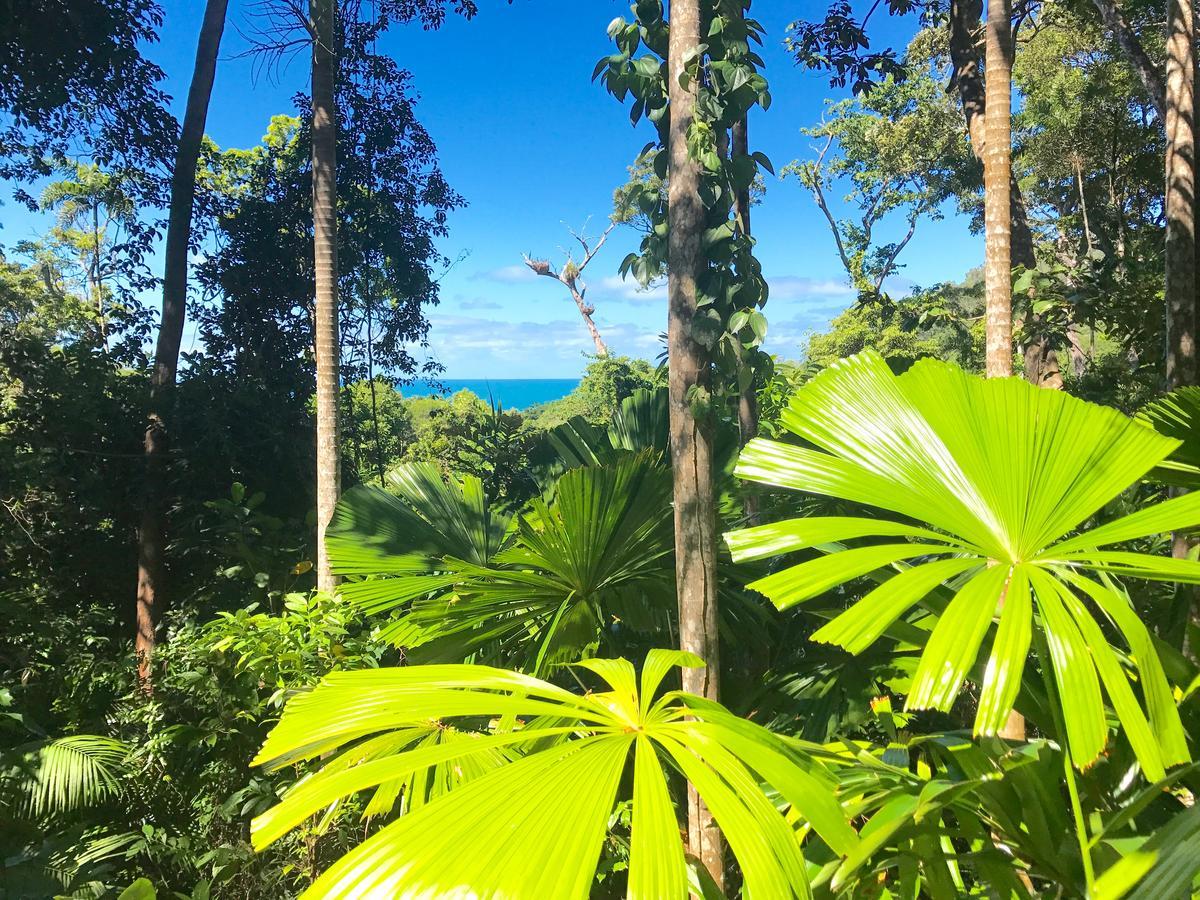 Daintree Magic Holiday House Cow Bay Dış mekan fotoğraf